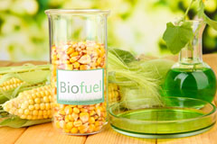 Little Cambridge biofuel availability